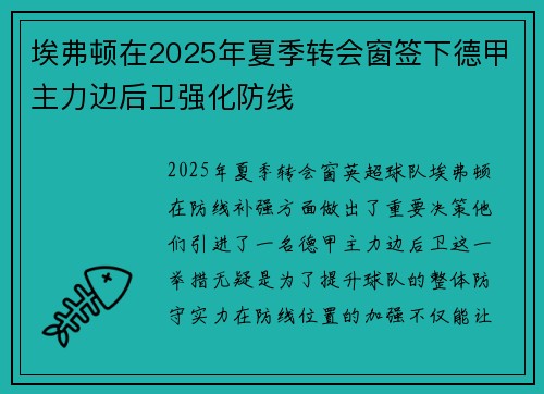 埃弗顿在2025年夏季转会窗签下德甲主力边后卫强化防线