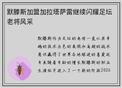 默滕斯加盟加拉塔萨雷继续闪耀足坛老将风采 默滕斯加盟加拉塔萨雷继续闪耀足坛老将风采